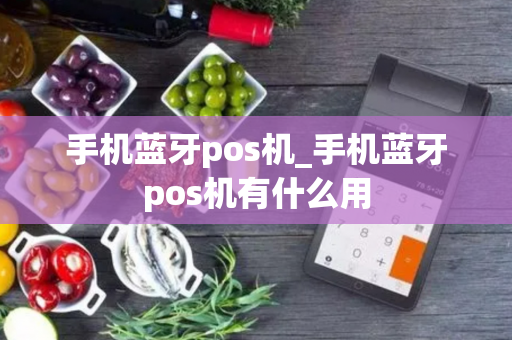 手机蓝牙pos机_手机蓝牙pos机有什么用