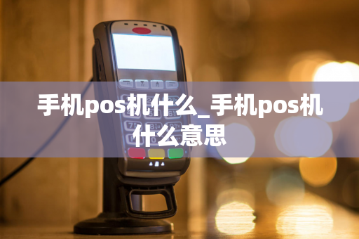 手机pos机什么_手机pos机什么意思