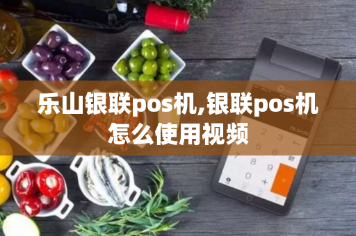 乐山银联pos机,银联pos机怎么使用视频