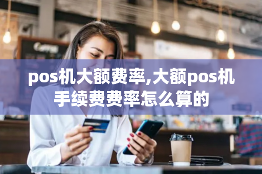 pos机大额费率,大额pos机手续费费率怎么算的