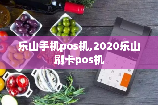 乐山手机pos机,2020乐山刷卡pos机