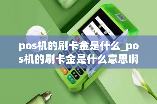 pos机的刷卡金是什么_pos机的刷卡金是什么意思啊