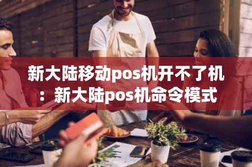 新大陆移动pos机开不了机：新大陆pos机命令模式