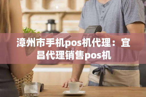 漳州市手机pos机代理：宜昌代理销售pos机