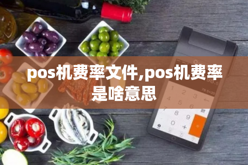 pos机费率文件,pos机费率是啥意思