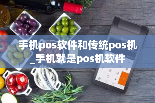 手机pos软件和传统pos机_手机就是pos机软件