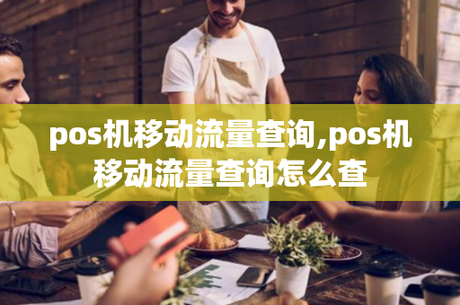 pos机移动流量查询,pos机移动流量查询怎么查