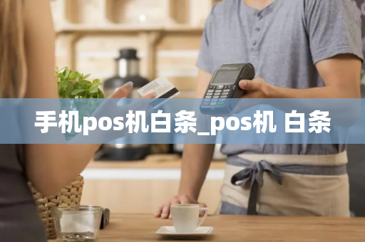 手机pos机白条_pos机 白条