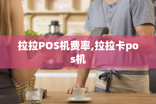 拉拉POS机费率,拉拉卡pos机