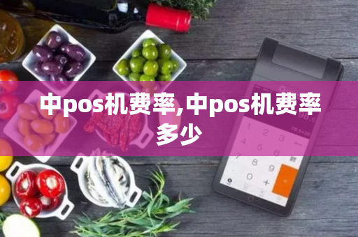 中pos机费率,中pos机费率多少