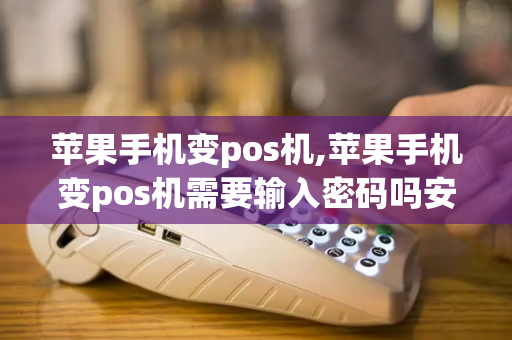 苹果手机变pos机,苹果手机变pos机需要输入密码吗安全吗