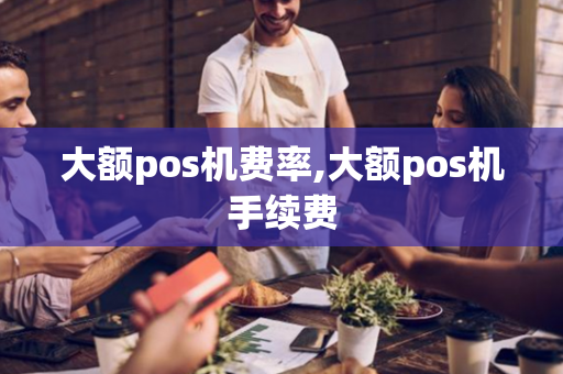 大额pos机费率,大额pos机手续费