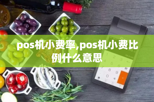 pos机小费率,pos机小费比例什么意思