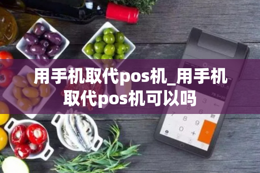 用手机取代pos机_用手机取代pos机可以吗