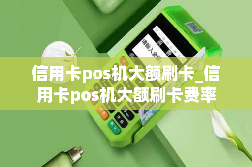 信用卡pos机大额刷卡_信用卡pos机大额刷卡费率