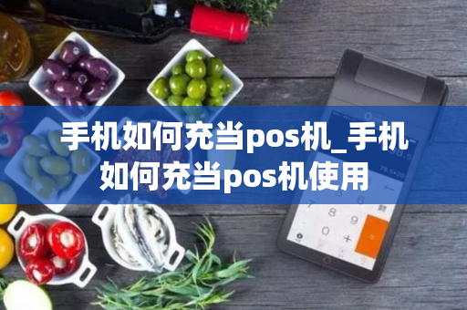 手机如何充当pos机_手机如何充当pos机使用