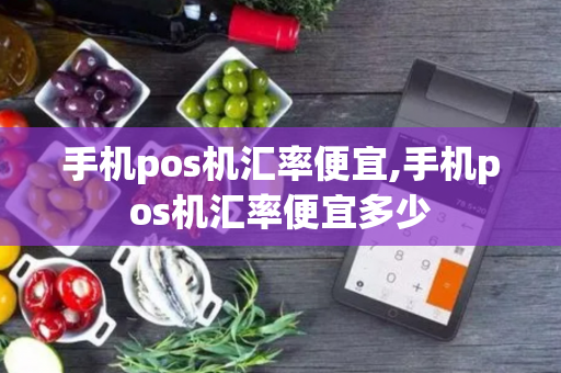 手机pos机汇率便宜,手机pos机汇率便宜多少