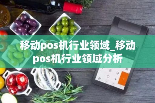 移动pos机行业领域_移动pos机行业领域分析