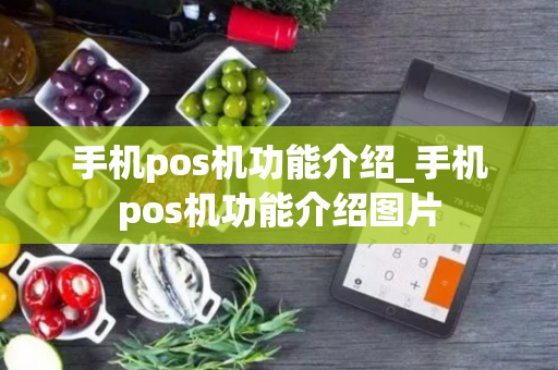 手机pos机功能介绍_手机pos机功能介绍图片