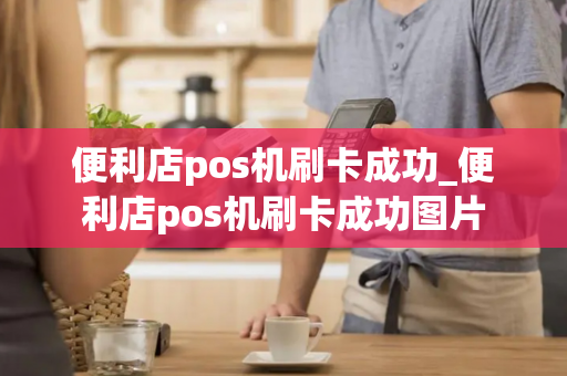 便利店pos机刷卡成功_便利店pos机刷卡成功图片