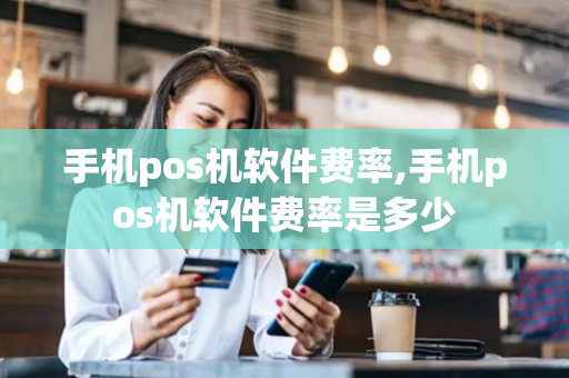 手机pos机软件费率,手机pos机软件费率是多少