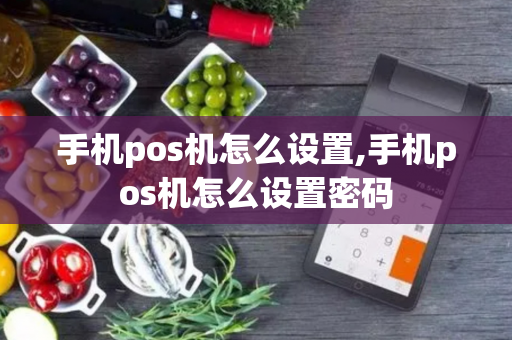 手机pos机怎么设置,手机pos机怎么设置密码