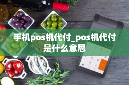 手机pos机代付_pos机代付是什么意思