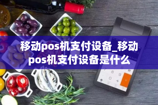 移动pos机支付设备_移动pos机支付设备是什么