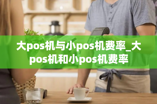 大pos机与小pos机费率_大pos机和小pos机费率