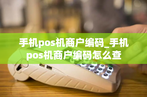 手机pos机商户编码_手机pos机商户编码怎么查