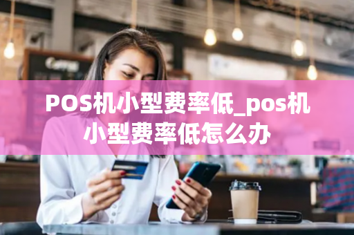 POS机小型费率低_pos机小型费率低怎么办