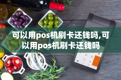 可以用pos机刷卡还钱吗,可以用pos机刷卡还钱吗