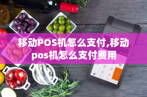 移动POS机怎么支付,移动pos机怎么支付费用