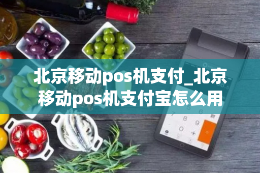 北京移动pos机支付_北京移动pos机支付宝怎么用