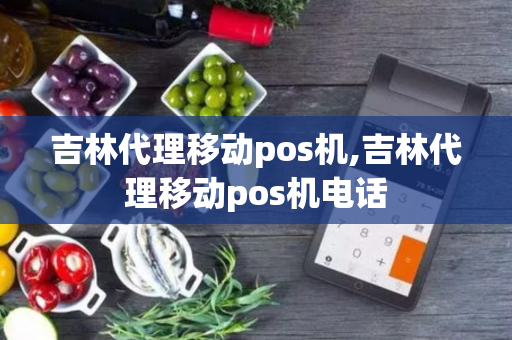 吉林代理移动pos机,吉林代理移动pos机电话