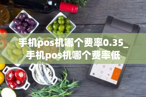 手机pos机哪个费率0.35_手机pos机哪个费率低