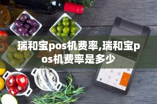 瑞和宝pos机费率,瑞和宝pos机费率是多少