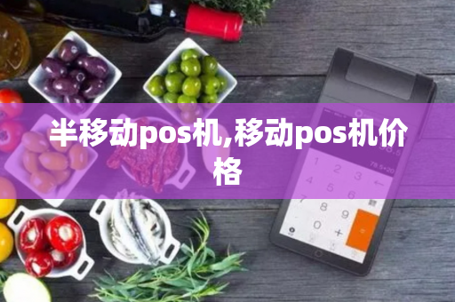 半移动pos机,移动pos机价格