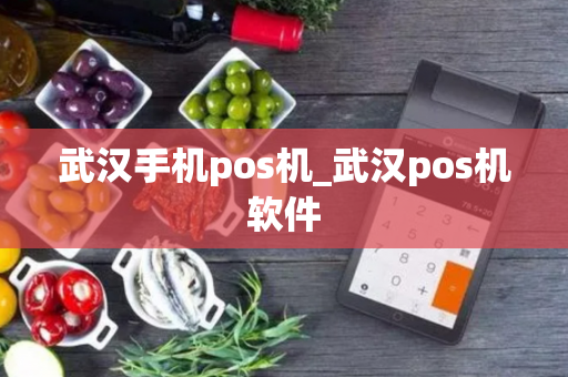 武汉手机pos机_武汉pos机软件