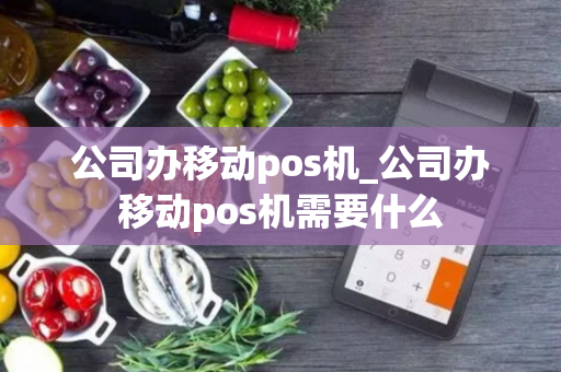 公司办移动pos机_公司办移动pos机需要什么