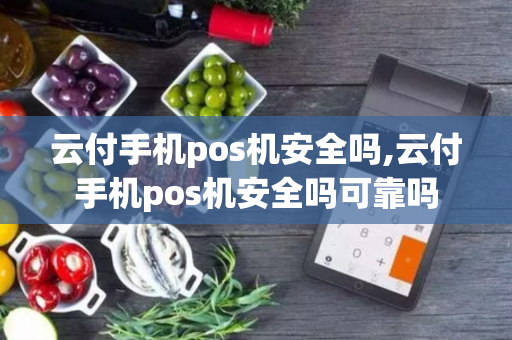 云付手机pos机安全吗,云付手机pos机安全吗可靠吗