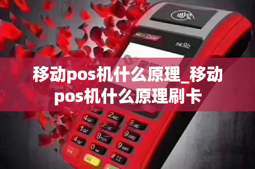 移动pos机什么原理_移动pos机什么原理刷卡