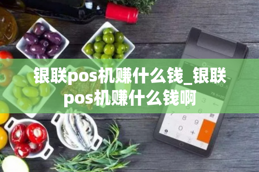 银联pos机赚什么钱_银联pos机赚什么钱啊