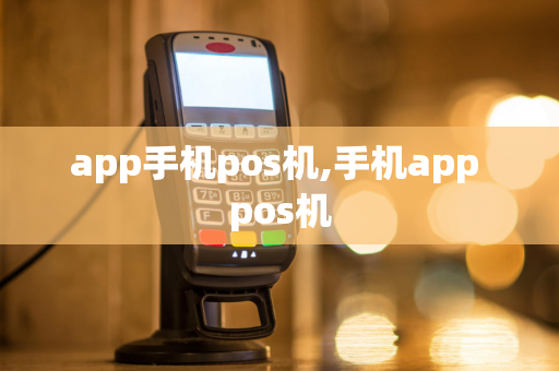 app手机pos机,手机app pos机