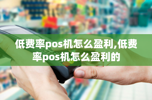 低费率pos机怎么盈利,低费率pos机怎么盈利的