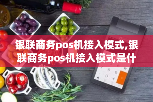 银联商务pos机接入模式,银联商务pos机接入模式是什么