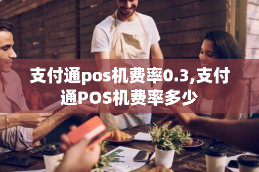 支付通pos机费率0.3,支付通POS机费率多少