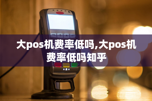 大pos机费率低吗,大pos机费率低吗知乎