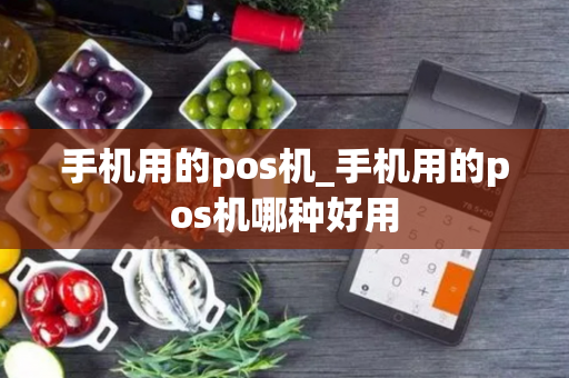 手机用的pos机_手机用的pos机哪种好用