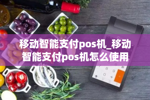 移动智能支付pos机_移动智能支付pos机怎么使用